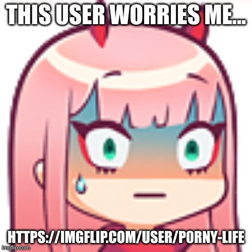 https://imgflip.com/user/p0rny-life | THIS USER WORRIES ME... HTTPS://IMGFLIP.COM/USER/P0RNY-LIFE | image tagged in zerouh | made w/ Imgflip meme maker