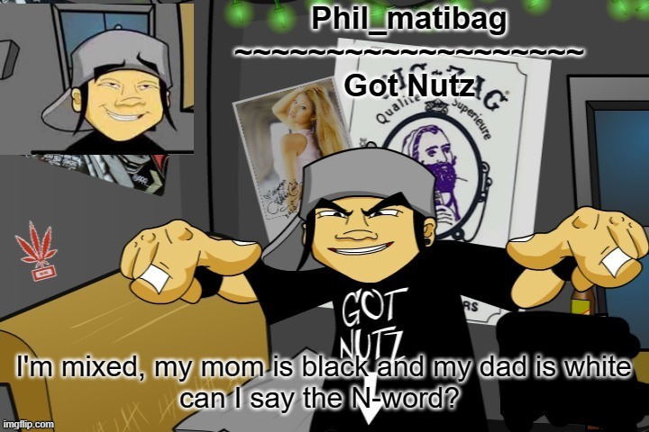 Phil_matibag announcement temp | I'm mixed, my mom is black and my dad is white
can I say the N-word? | image tagged in phil_matibag announcement temp | made w/ Imgflip meme maker