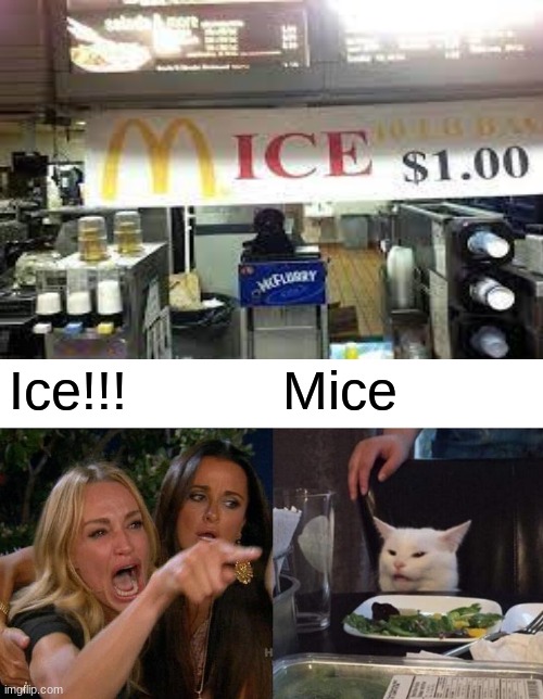 Ice!!! Mice | image tagged in memes,woman yelling at cat | made w/ Imgflip meme maker