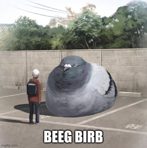 Beeg Birb | BEEG BIRB | image tagged in beeg birb | made w/ Imgflip meme maker