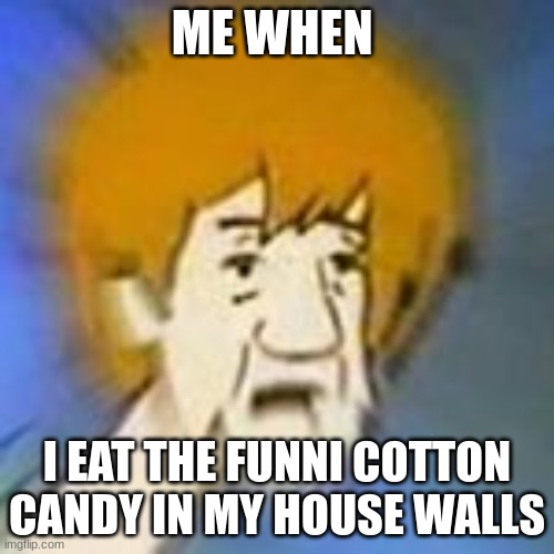 dank shaggy | ME WHEN; I EAT THE FUNNI COTTON CANDY IN MY HOUSE WALLS | image tagged in shaggy dank meme | made w/ Imgflip meme maker