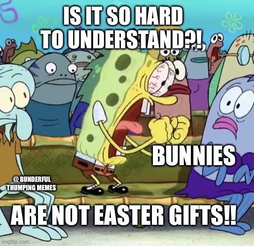 easter gifts | IS IT SO HARD TO UNDERSTAND?! BUNNIES; @ BUNDERFUL THUMPING MEMES; ARE NOT EASTER GIFTS!! | image tagged in spongebob yelling,bunny | made w/ Imgflip meme maker