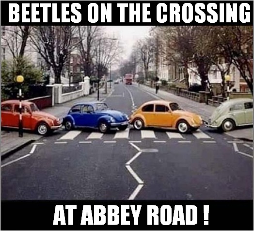 Something's Not Right ! | BEETLES ON THE CROSSING; AT ABBEY ROAD ! | image tagged in volkswagen,beetles,the beatles,abbey road,visual pun | made w/ Imgflip meme maker