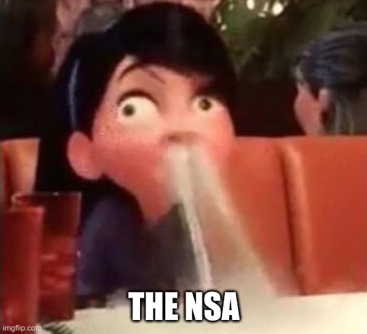 Violet spitting water out of her nose | THE NSA | image tagged in violet spitting water out of her nose | made w/ Imgflip meme maker