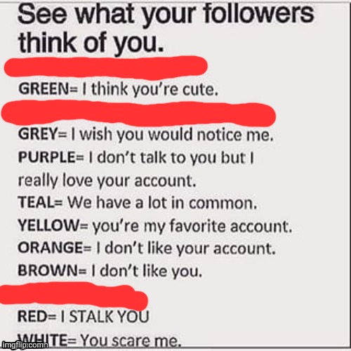 See what your followers think of you | image tagged in see what your followers think of you | made w/ Imgflip meme maker