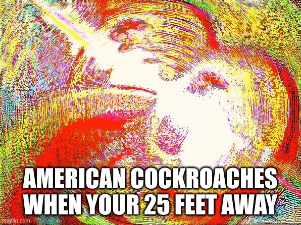 Deep fried hell | AMERICAN COCKROACHES WHEN YOUR 25 FEET AWAY | image tagged in deep fried hell | made w/ Imgflip meme maker