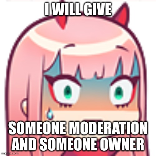 zerouh | I WILL GIVE; SOMEONE MODERATION AND SOMEONE OWNER | image tagged in zerouh | made w/ Imgflip meme maker
