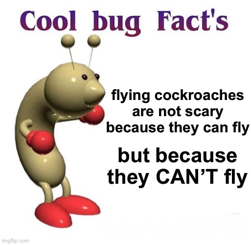 W | flying cockroaches are not scary because they can fly; but because they CAN’T fly | image tagged in cool bug facts | made w/ Imgflip meme maker