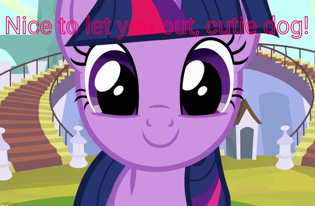 Cute Twilight Sparkle (MLP) | Nice to let you out, cutie dog! | image tagged in cute twilight sparkle mlp | made w/ Imgflip meme maker