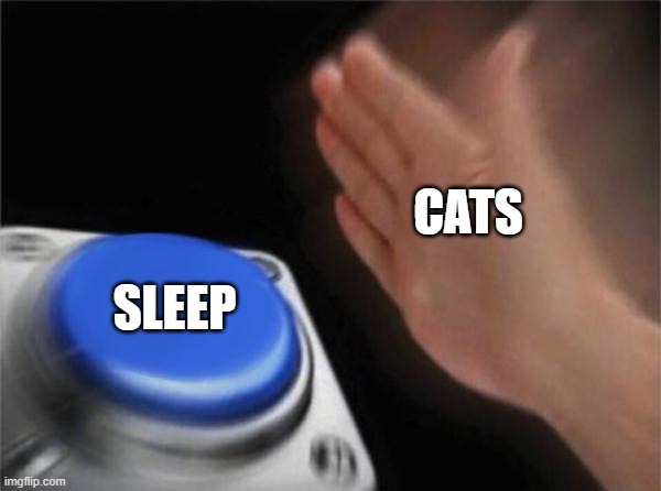 Blank Nut Button | CATS; SLEEP | image tagged in memes,blank nut button | made w/ Imgflip meme maker