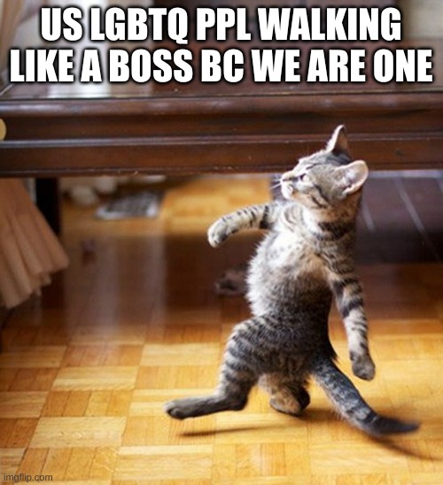 Cat Walking Like A Boss | US LGBTQ PPL WALKING LIKE A BOSS BC WE ARE ONE | image tagged in cat walking like a boss | made w/ Imgflip meme maker