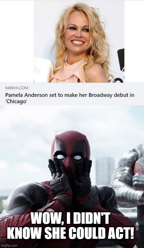 Go Pam! | WOW, I DIDN'T KNOW SHE COULD ACT! | image tagged in memes,deadpool surprised | made w/ Imgflip meme maker
