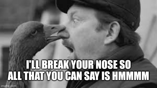 I'LL BREAK YOUR NOSE SO ALL THAT YOU CAN SAY IS HMMMM | made w/ Imgflip meme maker