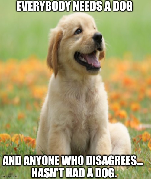 dogs | EVERYBODY NEEDS A DOG; AND ANYONE WHO DISAGREES... 
HASN'T HAD A DOG. | image tagged in puppy | made w/ Imgflip meme maker