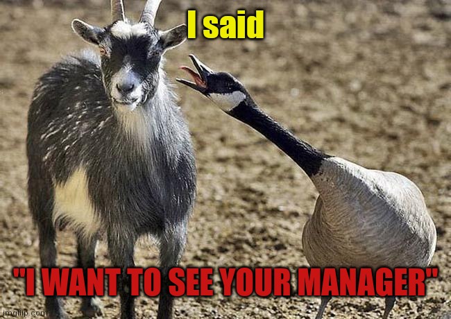 I said "I WANT TO SEE YOUR MANAGER" | made w/ Imgflip meme maker