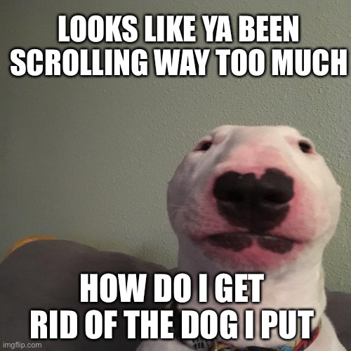 how do i remove the dog | LOOKS LIKE YA BEEN SCROLLING WAY TOO MUCH; HOW DO I GET RID OF THE DOG I PUT | image tagged in help | made w/ Imgflip meme maker