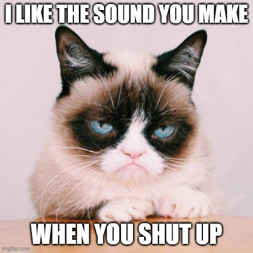 Clever Title | I LIKE THE SOUND YOU MAKE; WHEN YOU SHUT UP | image tagged in grumpy cat again | made w/ Imgflip meme maker