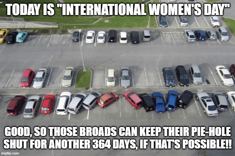 International Women's Day |  TODAY IS "INTERNATIONAL WOMEN'S DAY"; GOOD, SO THOSE BROADS CAN KEEP THEIR PIE-HOLE SHUT FOR ANOTHER 364 DAYS, IF THAT'S POSSIBLE!! | image tagged in international women's day | made w/ Imgflip meme maker