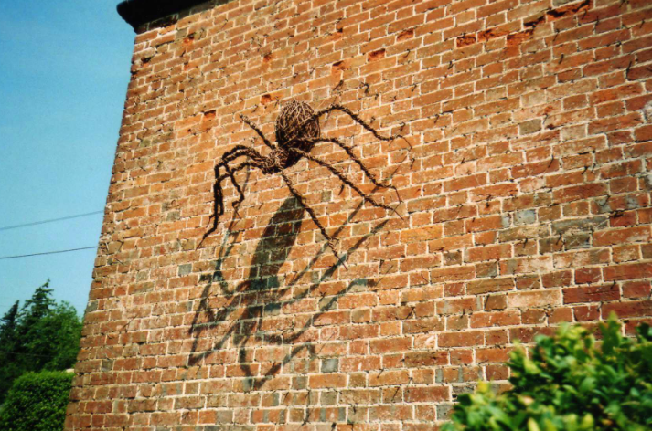 Big Spider Climbing wall Blank Meme Template
