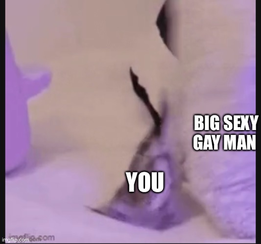 YOU BIG SEXY GAY MAN | made w/ Imgflip meme maker