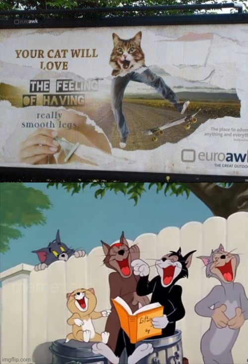 Cat billboard | image tagged in cats laughing tom and jerry,cats,cat,signs/billboards,billboard,memes | made w/ Imgflip meme maker
