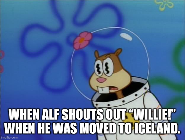 Sandy Meme | WHEN ALF SHOUTS OUT “WILLIE!” WHEN HE WAS MOVED TO ICELAND. | image tagged in sandy cheeks peeved | made w/ Imgflip meme maker