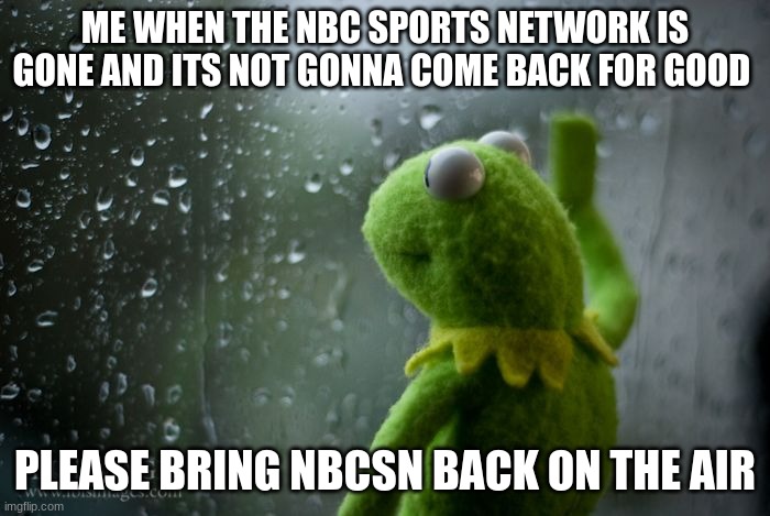 we miss you NBCSN, so bring it back | ME WHEN THE NBC SPORTS NETWORK IS GONE AND ITS NOT GONNA COME BACK FOR GOOD; PLEASE BRING NBCSN BACK ON THE AIR | image tagged in kermit window,nbcsn,funny memes,stop reading the tags,why are you reading this | made w/ Imgflip meme maker