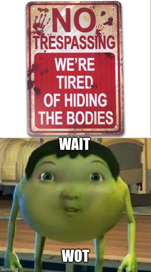 wait wot |  WAIT; WOT | image tagged in mike wot | made w/ Imgflip meme maker
