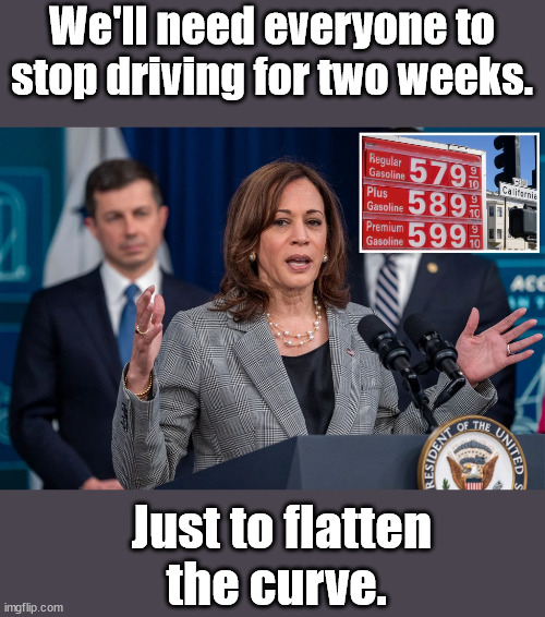 We'll need everyone to stop driving for two weeks. Just to flatten
 the curve. | image tagged in biden administration,kamala harris,fatten the curve | made w/ Imgflip meme maker