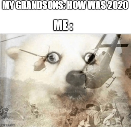 MY GRANDSONS: HOW WAS 2020; ME : | image tagged in memes,blank transparent square,ptsd dog | made w/ Imgflip meme maker