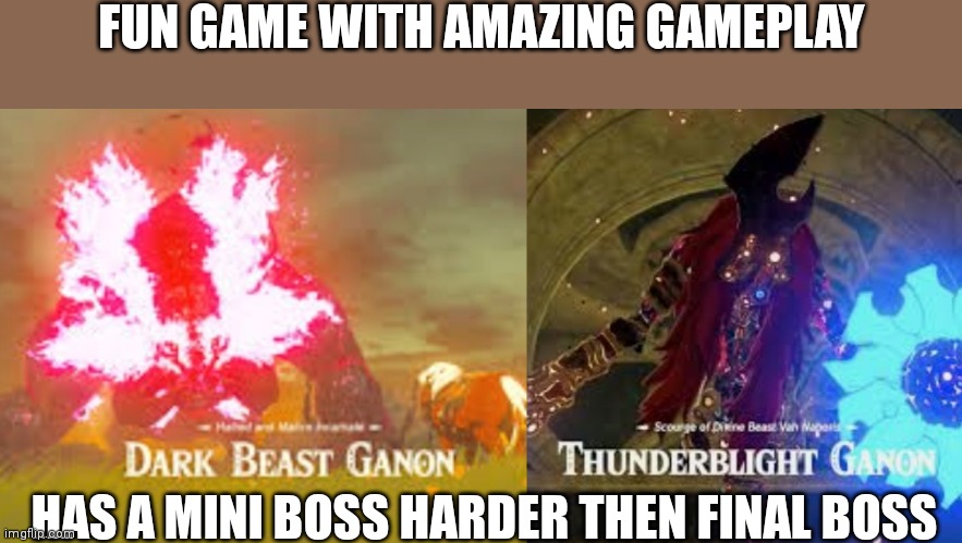 I'm not wrong | FUN GAME WITH AMAZING GAMEPLAY; HAS A MINI BOSS HARDER THEN FINAL BOSS | image tagged in legend of zelda | made w/ Imgflip meme maker