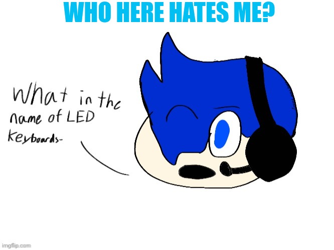 What in the name of LED keyboards- | WHO HERE HATES ME? | image tagged in what in the name of led keyboards- | made w/ Imgflip meme maker