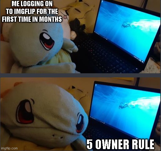 why | ME LOGGING ON TO IMGFLIP FOR THE FIRST TIME IN MONTHS; 5 OWNER RULE | image tagged in angry stuffed animal/creature watching computer tatu | made w/ Imgflip meme maker
