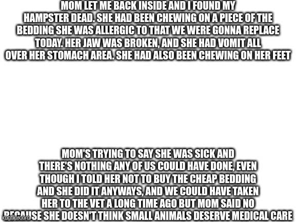 Blank White Template | MOM LET ME BACK INSIDE AND I FOUND MY HAMPSTER DEAD. SHE HAD BEEN CHEWING ON A PIECE OF THE BEDDING SHE WAS ALLERGIC TO THAT WE WERE GONNA REPLACE TODAY. HER JAW WAS BROKEN, AND SHE HAD VOMIT ALL OVER HER STOMACH AREA. SHE HAD ALSO BEEN CHEWING ON HER FEET; MOM'S TRYING TO SAY SHE WAS SICK AND THERE'S NOTHING ANY OF US COULD HAVE DONE, EVEN THOUGH I TOLD HER NOT TO BUY THE CHEAP BEDDING AND SHE DID IT ANYWAYS, AND WE COULD HAVE TAKEN HER TO THE VET A LONG TIME AGO BUT MOM SAID NO BECAUSE SHE DOESN'T THINK SMALL ANIMALS DESERVE MEDICAL CARE | image tagged in blank white template | made w/ Imgflip meme maker