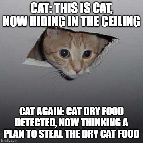 Robber Cat | CAT: THIS IS CAT, NOW HIDING IN THE CEILING; CAT AGAIN: CAT DRY FOOD DETECTED, NOW THINKING A PLAN TO STEAL THE DRY CAT FOOD | image tagged in memes,ceiling cat,robber,cat | made w/ Imgflip meme maker