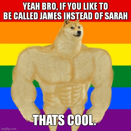 This might be discouloured. | YEAH BRO, IF YOU LIKE TO BE CALLED JAMES INSTEAD OF SARAH; THATS COOL. | image tagged in gay ass doge | made w/ Imgflip meme maker