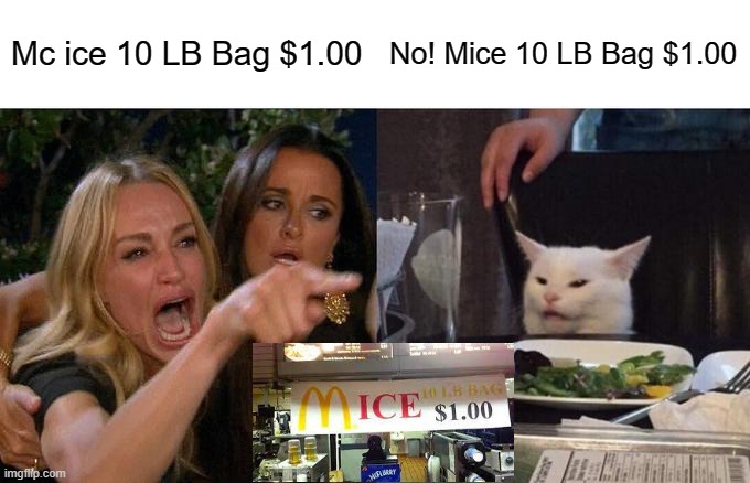 Woman yellling at cat | Mc ice 10 LB Bag $1.00; No! Mice 10 LB Bag $1.00 | image tagged in memes,woman yelling at cat,design fails | made w/ Imgflip meme maker