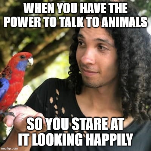 graphnix meme | WHEN YOU HAVE THE POWER TO TALK TO ANIMALS; SO YOU STARE AT IT LOOKING HAPPILY | image tagged in graphnix,power,talking to animals,happily | made w/ Imgflip meme maker