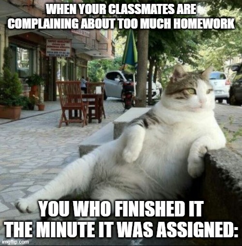 i do it the minute it's assigned, who else does? | WHEN YOUR CLASSMATES ARE COMPLAINING ABOUT TOO MUCH HOMEWORK; YOU WHO FINISHED IT THE MINUTE IT WAS ASSIGNED: | image tagged in keep calm and relax | made w/ Imgflip meme maker