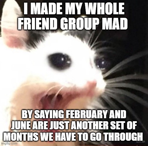 Zad cat | I MADE MY WHOLE FRIEND GROUP MAD; BY SAYING FEBRUARY AND JUNE ARE JUST ANOTHER SET OF MONTHS WE HAVE TO GO THROUGH | image tagged in zad cat | made w/ Imgflip meme maker