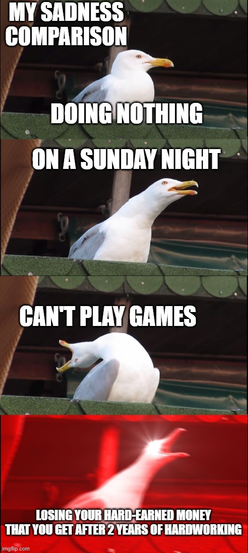 My Sadness Comparison | MY SADNESS COMPARISON; DOING NOTHING; ON A SUNDAY NIGHT; CAN'T PLAY GAMES; LOSING YOUR HARD-EARNED MONEY THAT YOU GET AFTER 2 YEARS OF HARDWORKING | image tagged in memes,inhaling seagull,sadness,comparison | made w/ Imgflip meme maker