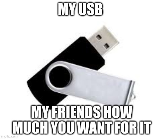 usb | MY USB; MY FRIENDS HOW MUCH YOU WANT FOR IT | image tagged in usb | made w/ Imgflip meme maker