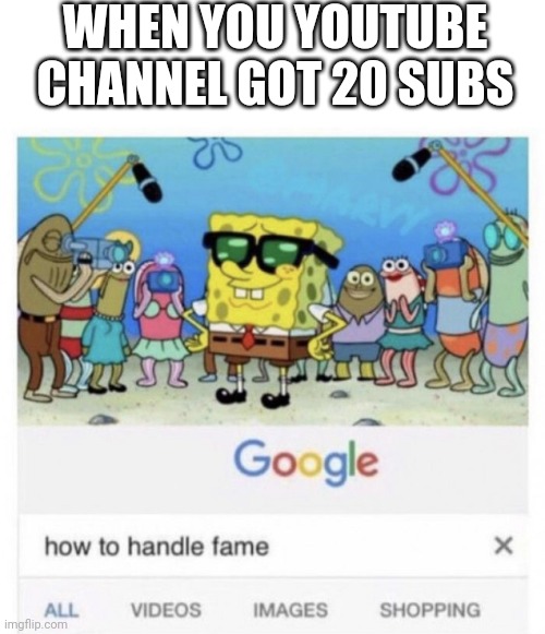 How to handle fame | WHEN YOU YOUTUBE CHANNEL GOT 20 SUBS | image tagged in how to handle fame | made w/ Imgflip meme maker