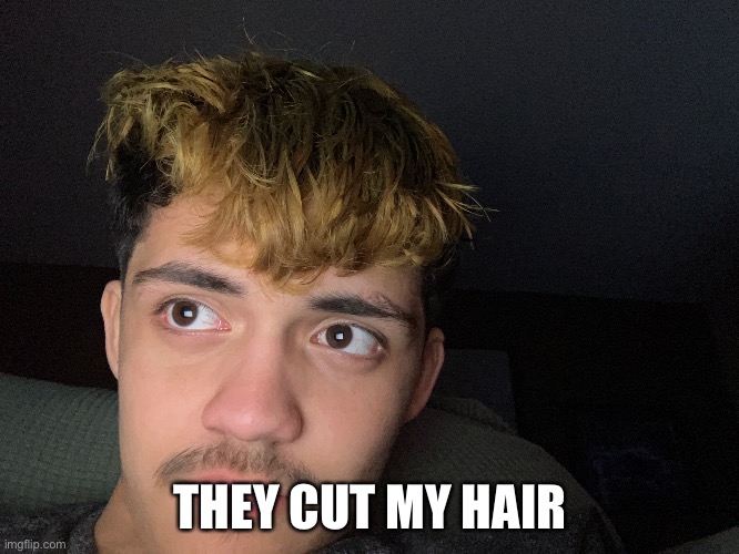 :( | THEY CUT MY HAIR | image tagged in 4th of july | made w/ Imgflip meme maker