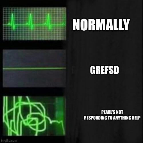 HELP I THINK SHE MIGHT'VE | NORMALLY; GREFSD; PEARL'S NOT RESPONDING TO ANYTHING HELP | image tagged in leave it blank please | made w/ Imgflip meme maker