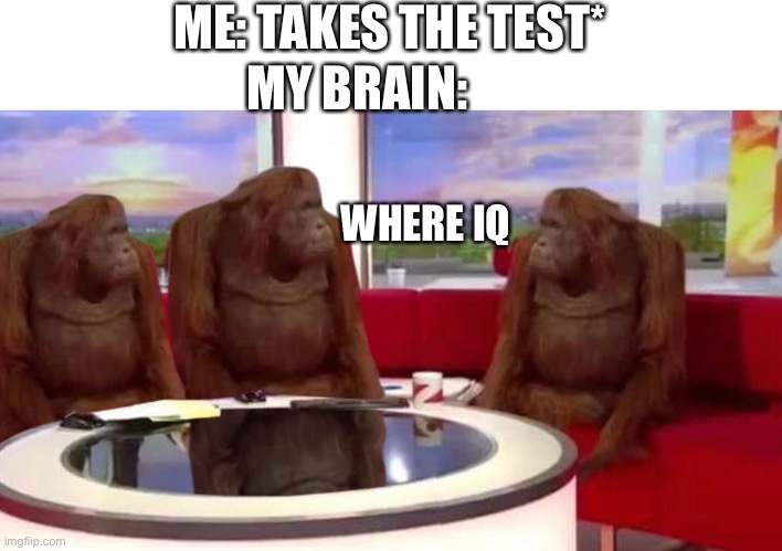 Taking test be like | ME: TAKES THE TEST*; MY BRAIN:; WHERE IQ | image tagged in where monkey | made w/ Imgflip meme maker