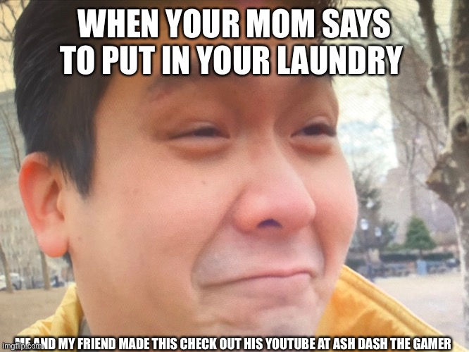 Emotional damage | WHEN YOUR MOM SAYS TO PUT IN YOUR LAUNDRY; ME AND MY FRIEND MADE THIS CHECK OUT HIS YOUTUBE AT ASH DASH THE GAMER | image tagged in cool | made w/ Imgflip meme maker