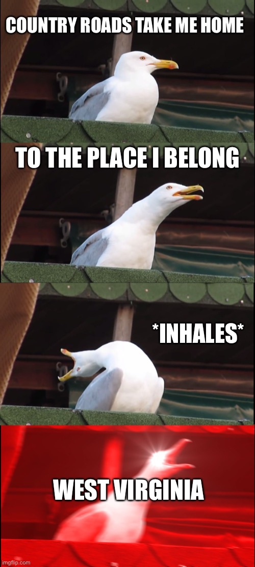 Inhaling Seagull | COUNTRY ROADS TAKE ME HOME; TO THE PLACE I BELONG; *INHALES*; WEST VIRGINIA | image tagged in memes,inhaling seagull | made w/ Imgflip meme maker