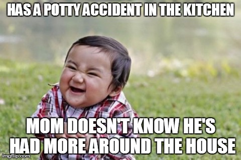 Evil Toddler Meme | HAS A POTTY ACCIDENT IN THE KITCHEN MOM DOESN'T KNOW HE'S HAD MORE AROUND THE HOUSE | image tagged in memes,evil toddler | made w/ Imgflip meme maker