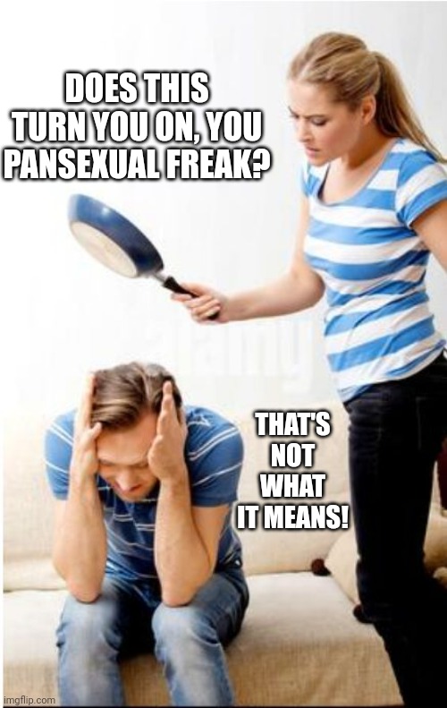 Defining Pansexual | DOES THIS TURN YOU ON, YOU PANSEXUAL FREAK? THAT'S NOT WHAT IT MEANS! | image tagged in pansexual | made w/ Imgflip meme maker